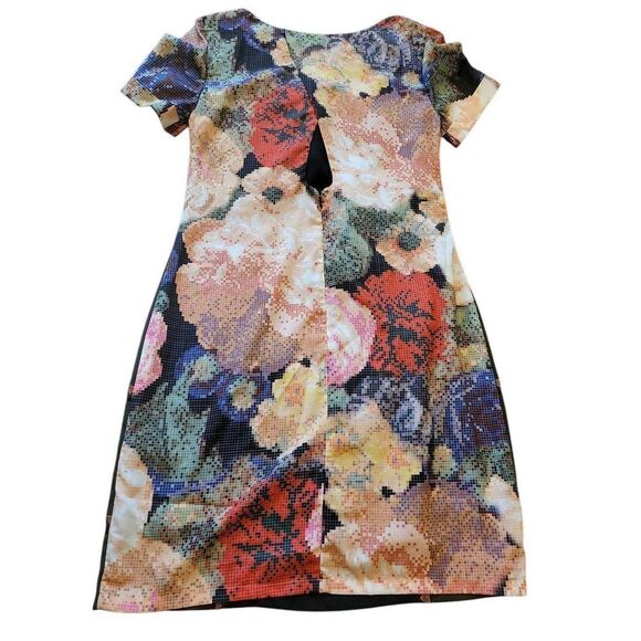 Anthropologie Dress Women's 4 Ranna Gill Fanned Vignette Shift Embroidered - Picture 2 of 6